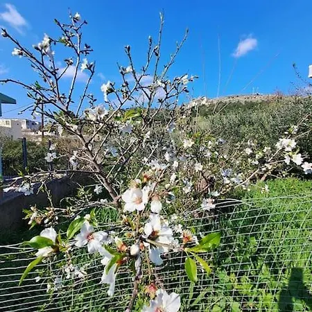 ο παράδεισος της αφροδίτης Villa Kalymnos Town