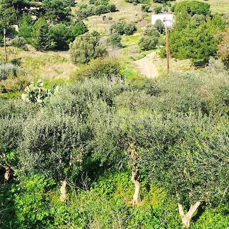 ο παράδεισος της αφροδίτης Kalymnos Town